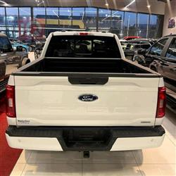 فۆرد F-150